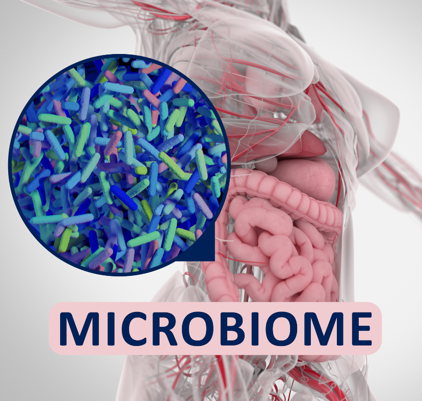 gut microbiome affects women's health